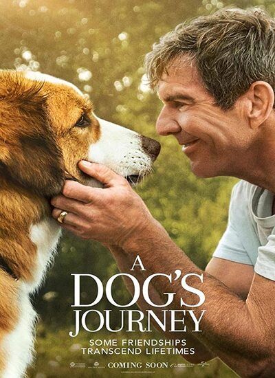 دانلود فیلم سفر یک سگ دوبله فارسی A Dog’s Journey 2019